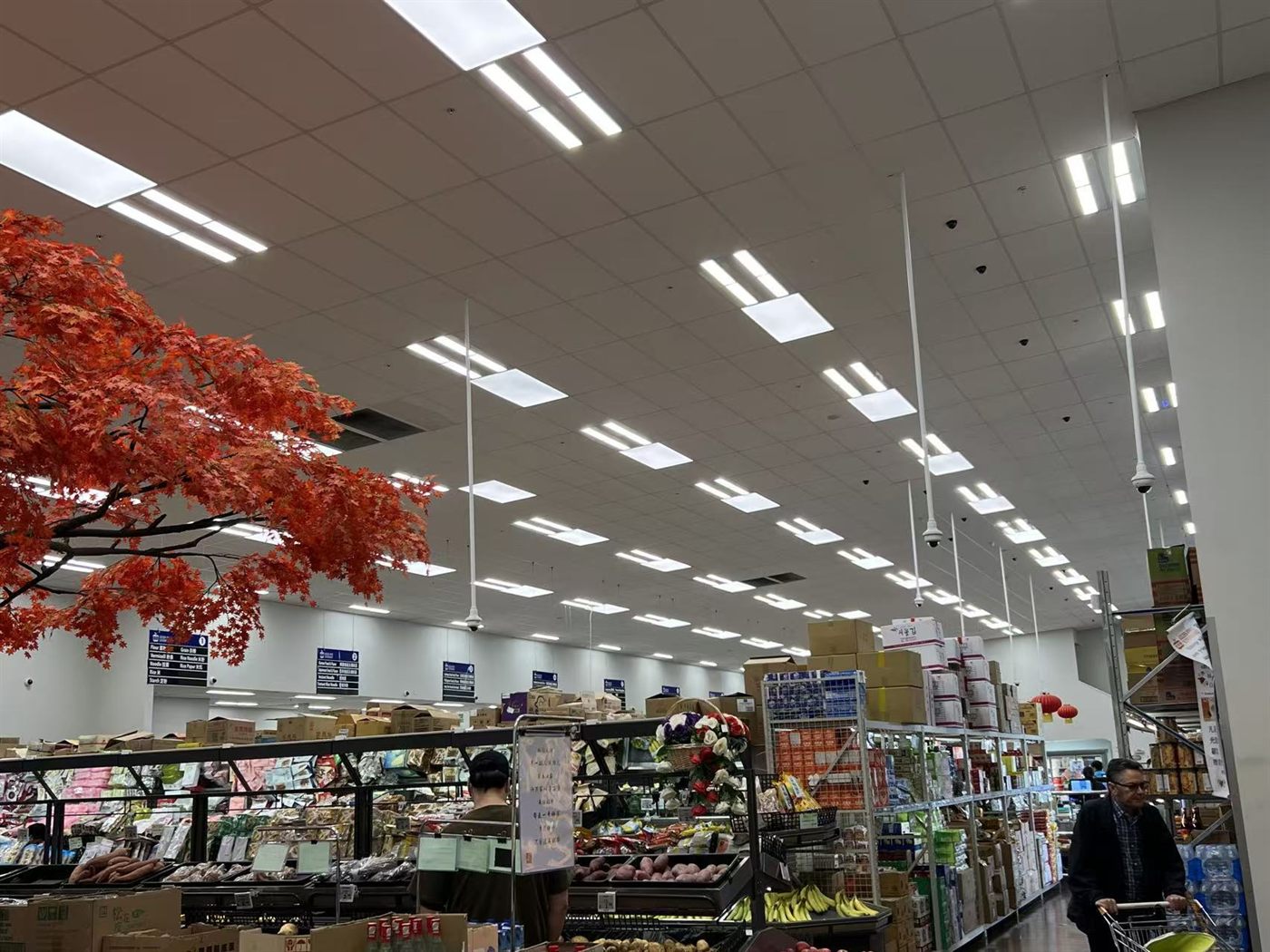 Ceiling mounted CCTV cameras covering a supermarket retail floor