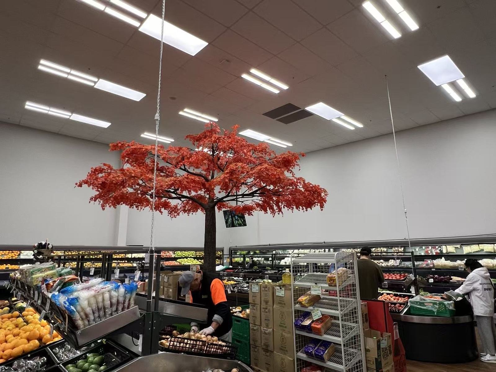 Golden Apple Henderson produce department with ceiling camera and ESL shelf labels
