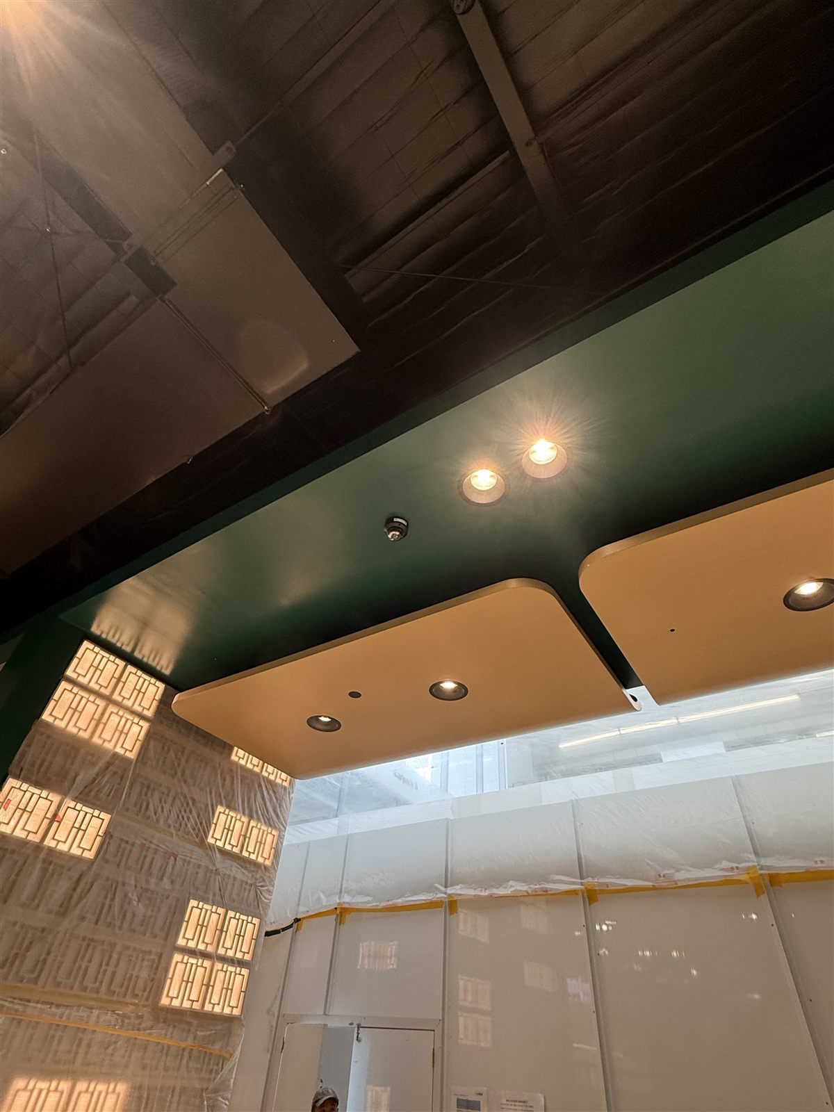 Finished ceiling detail with discreet CCTV camera